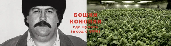 мет Нея