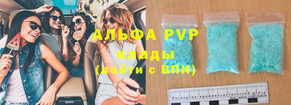 хмурый Нефтекумск
