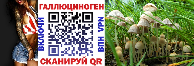 Галлюциногенные грибы мицелий  Алексин 