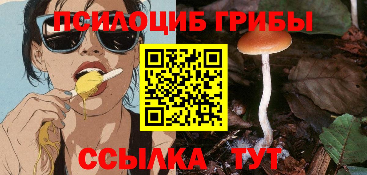 Алексин  Псилоцибиновые грибы Magic Shrooms  закладки  Вход с VPN 