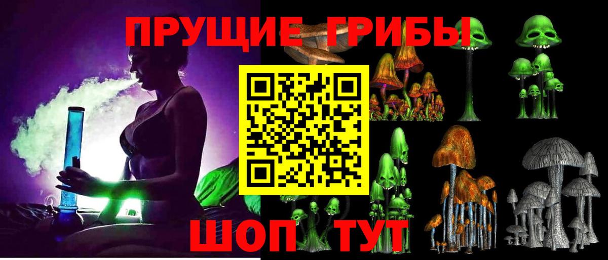 Галлюциногенные грибы Psilocybe Алексин