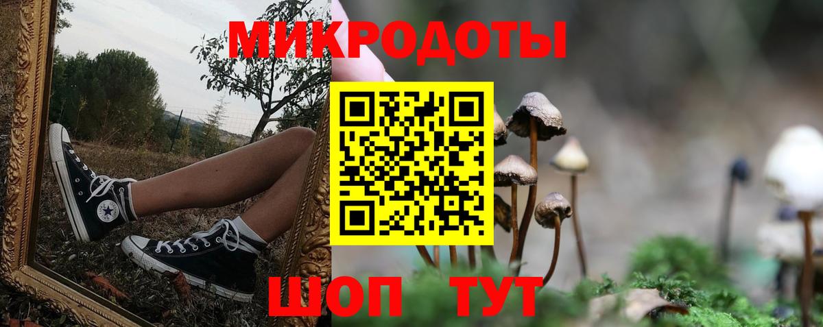Псилоцибиновые грибы мухоморы  Псилоцибиновые грибы Psilocybine cubensis  цены наркотик  Алексин 