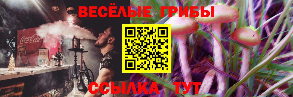 Галлюциногенные грибы MAGIC MUSHROOMS  Вход с VPN  Галлюциногенные грибы прущие грибы  наркотики  Алексин 