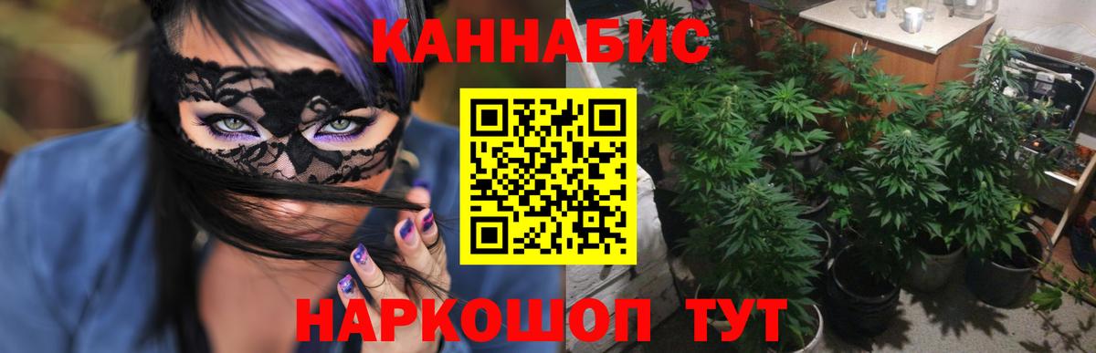 Шишки марихуана гибрид Алексин
